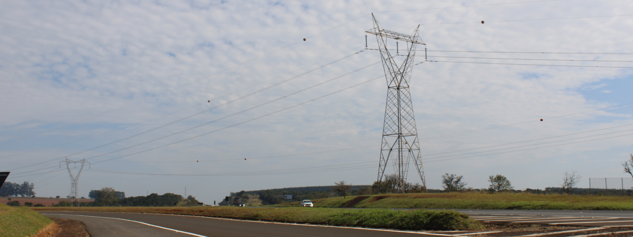 Torres de transmissão sustentando cabos de energia elétrica às margens da Rodovia administrada pela CCR.